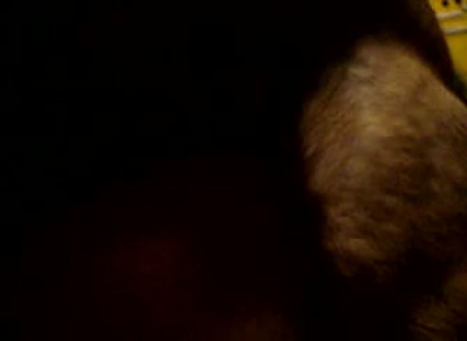 Video :Homemade beastiality porn video of dog fucking a girl